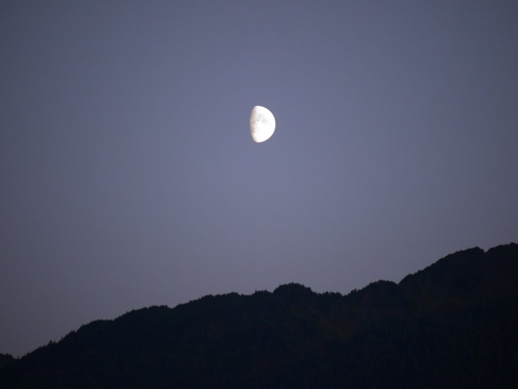 juneau16.jpg
