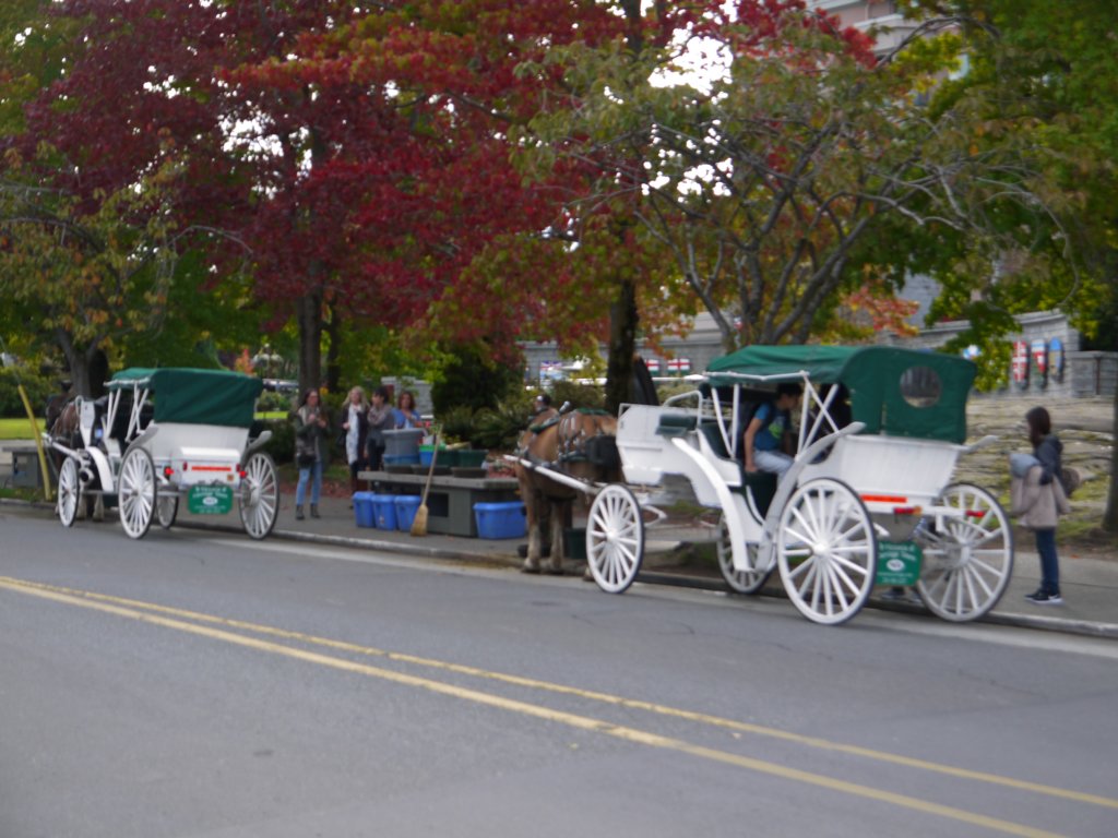 victoriabc14.jpg